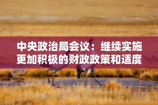 中央政治局会议：继续实施更加积极的财政政策和适度宽松的货币政策