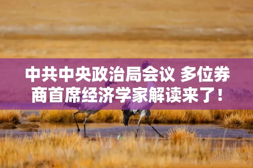 中共中央政治局会议 多位券商首席经济学家解读来了!