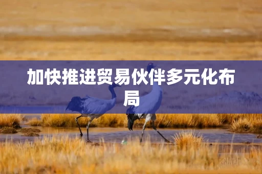 加快推进贸易伙伴多元化布局