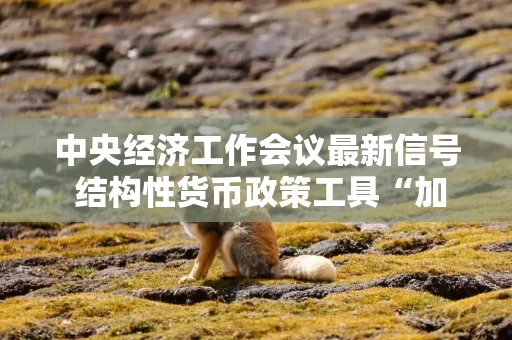 中央经济工作会议最新信号 结构性货币政策工具“加量降价”可期