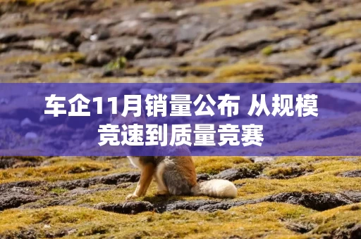 车企11月销量公布 从规模竞速到质量竞赛
