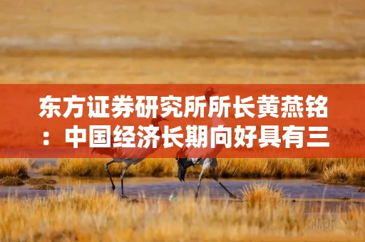 东方证券研究所所长黄燕铭：中国经济长期向好具有三大核心驱动力