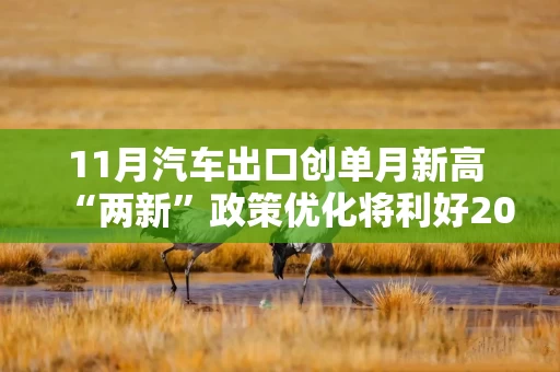 11月汽车出口创单月新高 “两新”政策优化将利好2026年车市