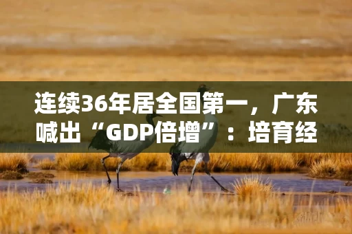 连续36年居全国第一,广东喊出“GDP倍增”:培育经济大市,设科创特区