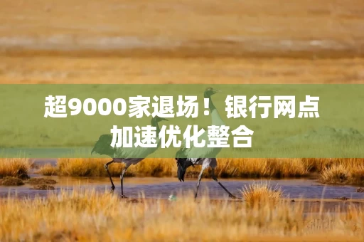 超9000家退场！银行网点加速优化整合