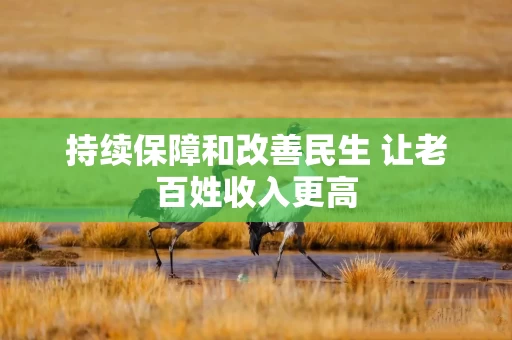 持续保障和改善民生 让老百姓收入更高