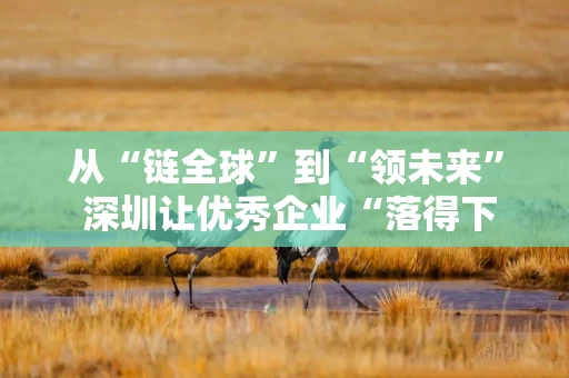 从“链全球”到“领未来” 深圳让优秀企业“落得下、长得好”