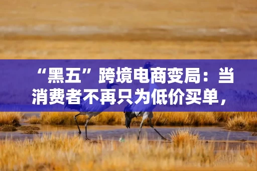 “黑五”跨境电商变局：当消费者不再只为低价买单，亚马逊、天猫国际、京东如何破局？