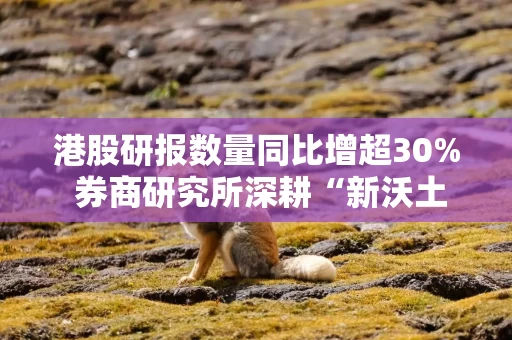 港股研报数量同比增超30% 券商研究所深耕“新沃土”