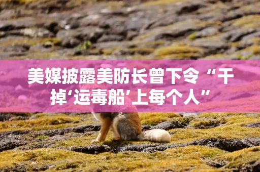 美媒披露美防长曾下令“干掉‘运毒船’上每个人”