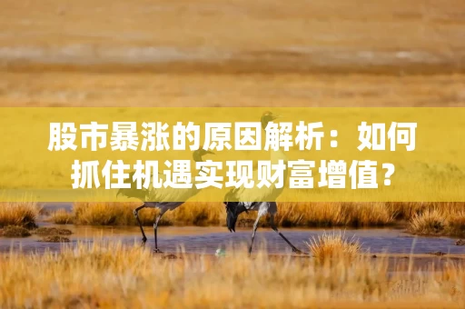 股市暴涨的原因解析：如何抓住机遇实现财富增值？