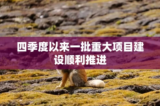 四季度以来一批重大项目建设顺利推进