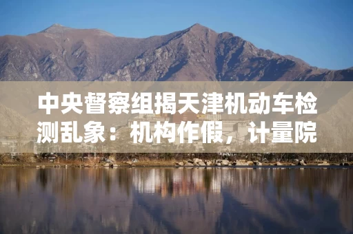 中央督察组揭天津机动车检测乱象:机构作假,计量院违规出证