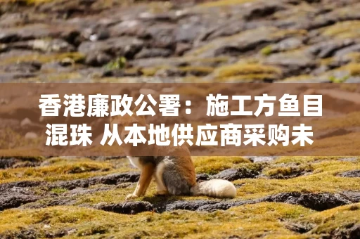 香港廉政公署:施工方鱼目混珠 从本地供应商采购未达阻燃标准防护网