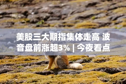 美股三大期指集体走高 波音盘前涨超3% | 今夜看点