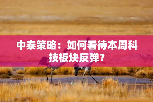 中泰策略：如何看待本周科技板块反弹？