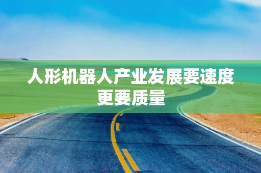 人形机器人产业发展要速度更要质量