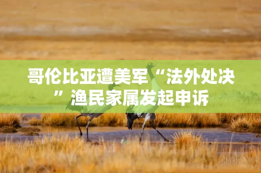 哥伦比亚遭美军“法外处决”渔民家属发起申诉