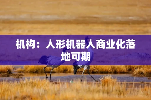 机构：人形机器人商业化落地可期