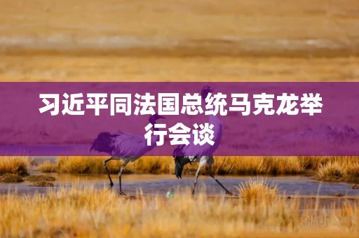 习近平同法国总统马克龙举行会谈