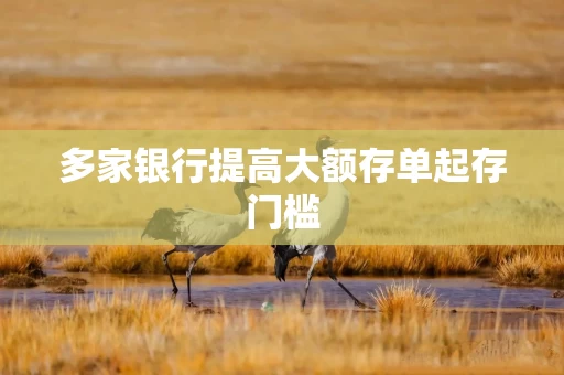 多家银行提高大额存单起存门槛