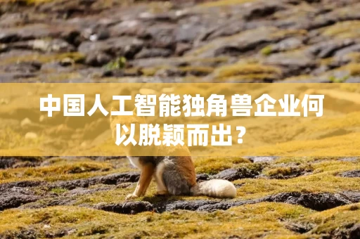 中国人工智能独角兽企业何以脱颖而出？