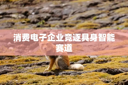 消费电子企业竞逐具身智能赛道