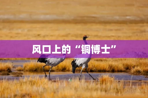 风口上的“铜博士”