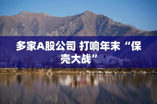 多家A股公司 打响年末“保壳大战”
