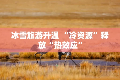 冰雪旅游升温 “冷资源”释放“热效应”