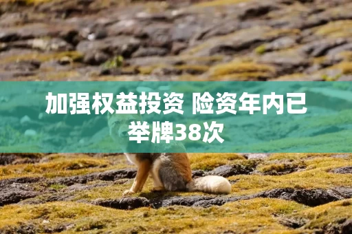 加强权益投资 险资年内已举牌38次