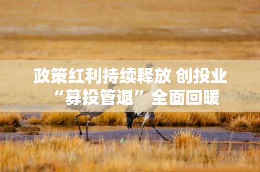 政策红利持续释放 创投业“募投管退”全面回暖