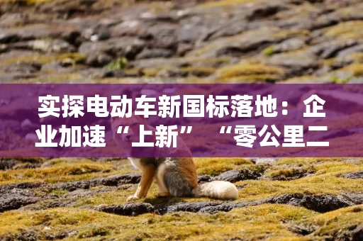 实探电动车新国标落地:企业加速“上新” “零公里二手车”溢价出售