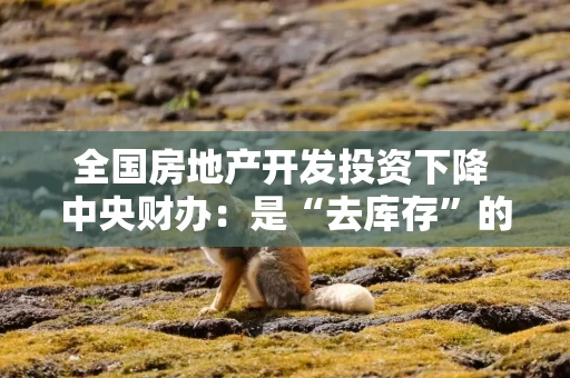 全国房地产开发投资下降 中央财办:是“去库存”的结果