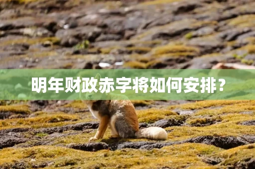 明年财政赤字将如何安排?