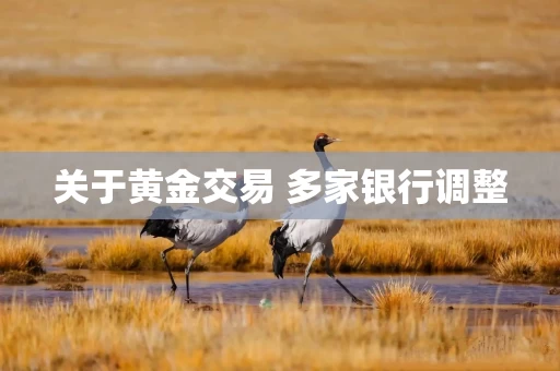 关于黄金交易 多家银行调整