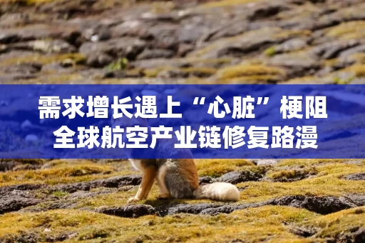 需求增长遇上“心脏”梗阻 全球航空产业链修复路漫漫