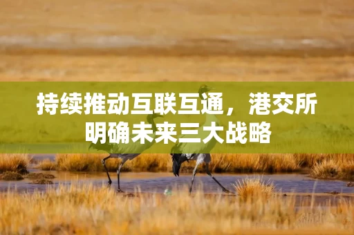 持续推动互联互通,港交所明确未来三大战略