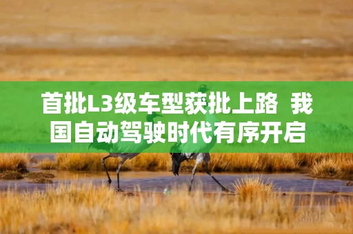 首批L3级车型获批上路 我国自动驾驶时代有序开启