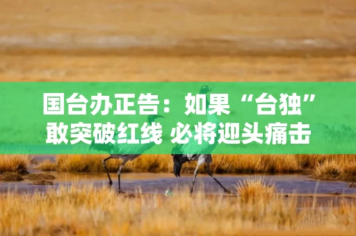 国台办正告:如果“台独”敢突破红线 必将迎头痛击!