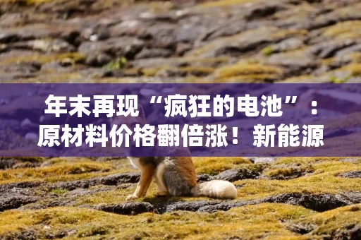 年末再现“疯狂的电池”:原材料价格翻倍涨!新能源车企老板们“堵门”抢单