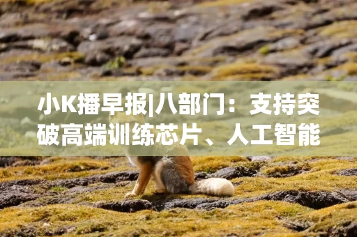 小K播早报|八部门：支持突破高端训练芯片、人工智能服务器等核心技术 三星电子录得创纪录利润