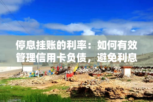 停息挂账的利率：如何有效管理信用卡负债，避免利息滞纳？