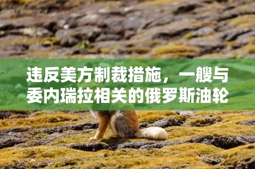 违反美方制裁措施，一艘与委内瑞拉相关的俄罗斯油轮被扣押