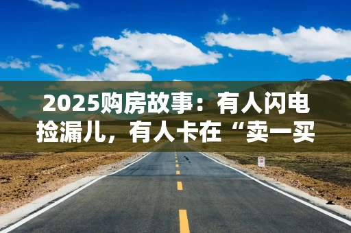 2025购房故事:有人闪电捡漏儿,有人卡在“卖一买一”