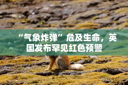 “气象炸弹”危及生命,英国发布罕见红色预警