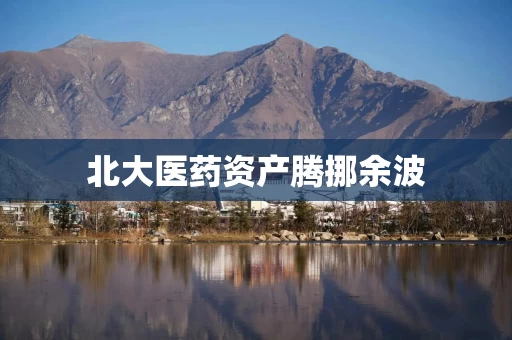 北大医药资产腾挪余波
