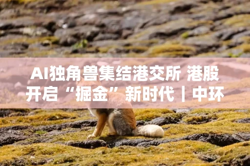 AI独角兽集结港交所 港股开启“掘金”新时代|中环观察