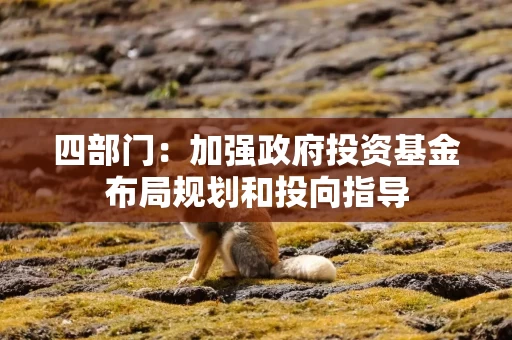 四部门:加强政府投资基金布局规划和投向指导