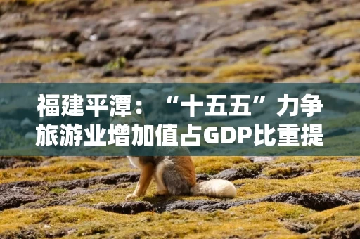 福建平潭：“十五五”力争旅游业增加值占GDP比重提升至17%以上